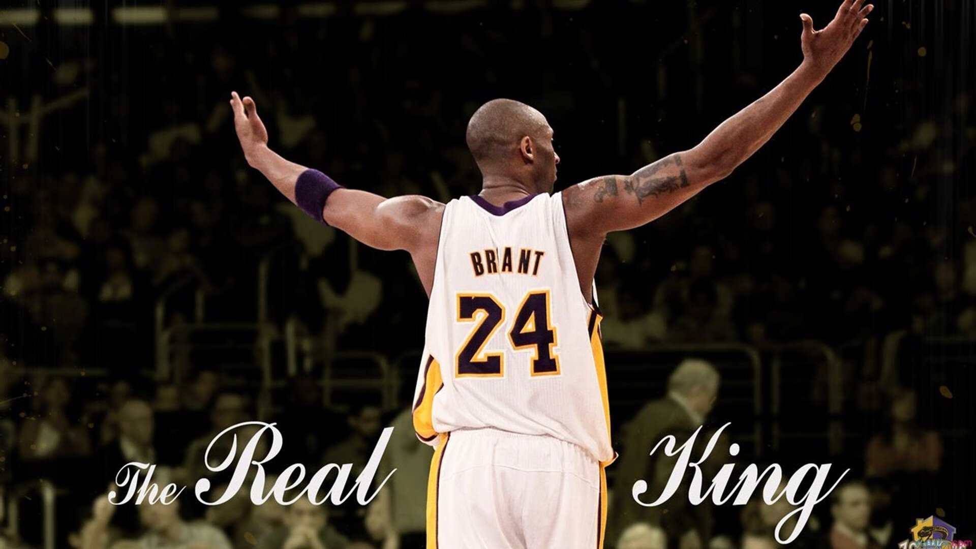 开云体育APP-TL推出周边新品引发抢购潮，ltt周边