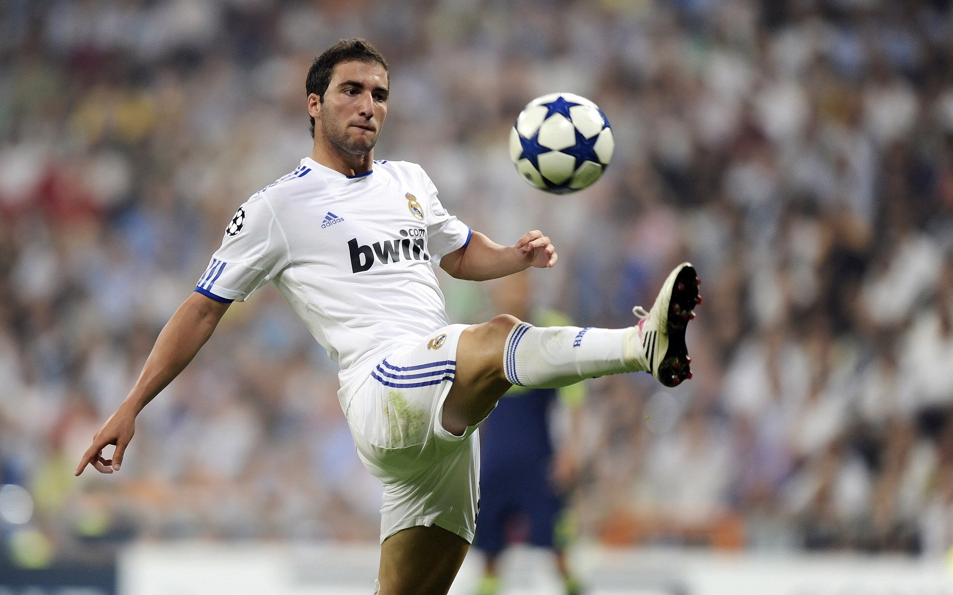 开云品牌-捷克迎战克罗地亚：胜者所属谁？，捷克和克罗地亚专家预测