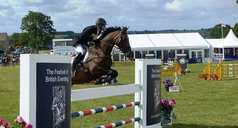 开云官方平台-袋鼠队在橄榄球冠军锦标赛中的反击战术令人印象深刻,袋鼠大战拳击手